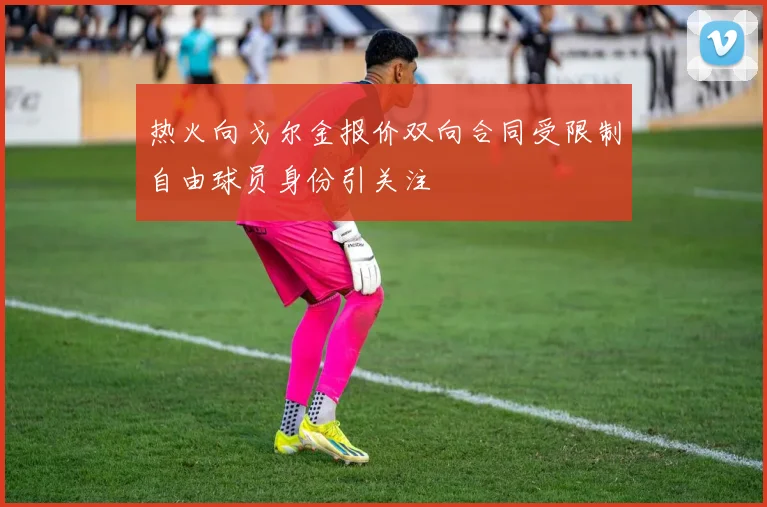 热火向戈尔金报价双向合同受限制自由球员身份引关注