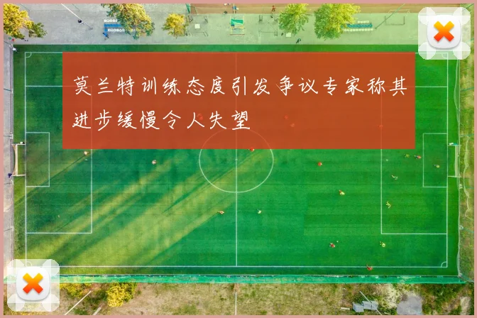 莫兰特训练态度引发争议专家称其进步缓慢令人失望