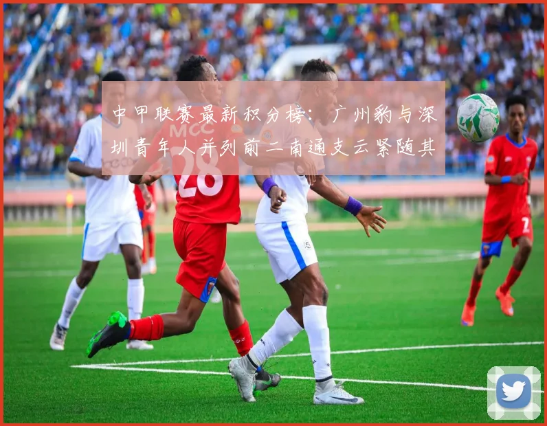 中甲联赛最新积分榜：广州豹与深圳青年人并列前二南通支云紧随其后